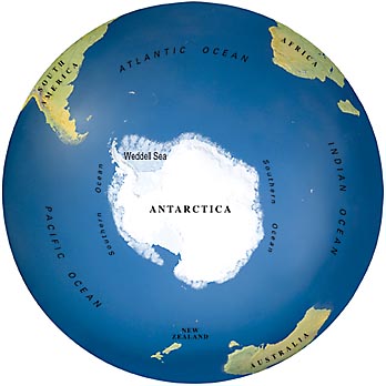 antarctic_globe