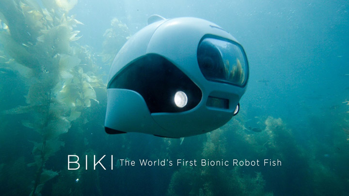 Рыба-робот BIKI — первая в мире био-рыба-фотограф