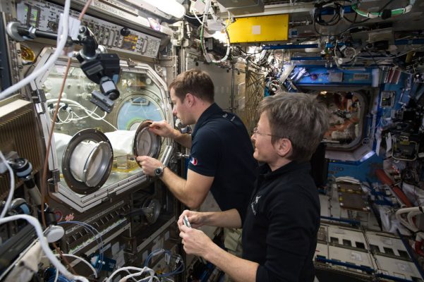 Внеземная жизнь на МКС. На внешней стороне станции обнаружены бактерии