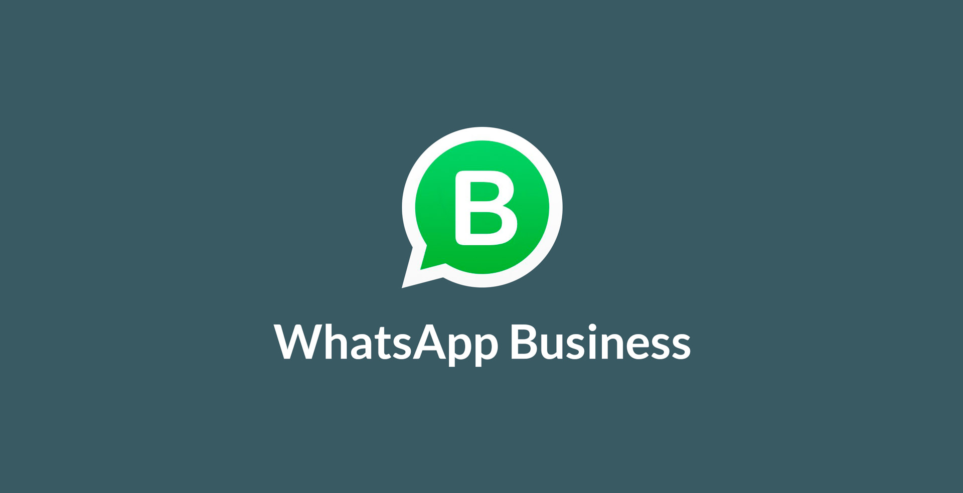 Whatsapp последняя версия. Ватсап бизнес. Приложение WHATSAPP Business. Корпоративный ватсап. Logo вацап бизнес.