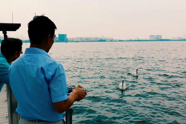 Робот-лебедь Сингапур