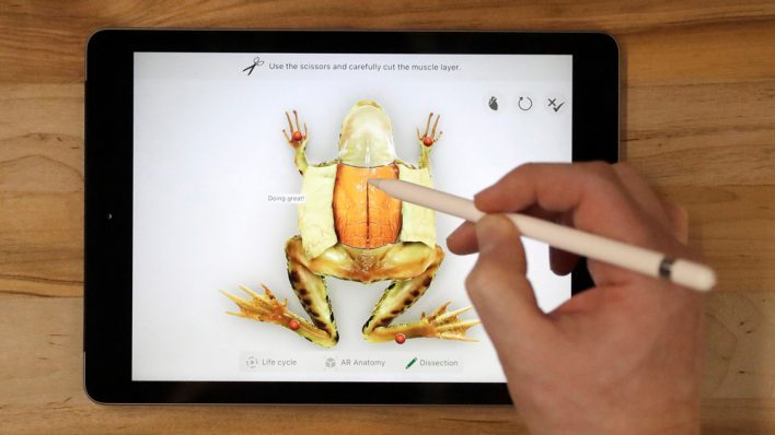 Мечты сбылись — iPad стал доступным!