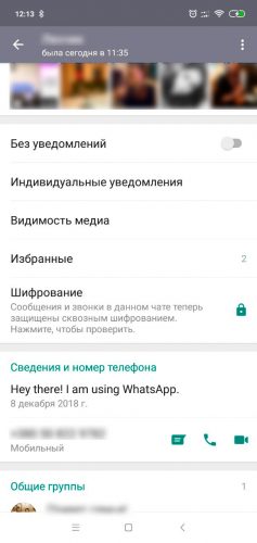 Скрытые функции WhatsApp