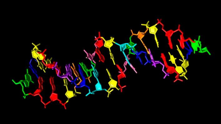 Ученые ищут «иную жизнь» при помощи синтетической ДНК