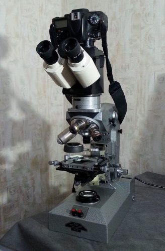 Белорус фотографирует через микроскоп, удивляя своими шедеврами!