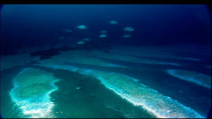 Диоксид углерода на дне моря