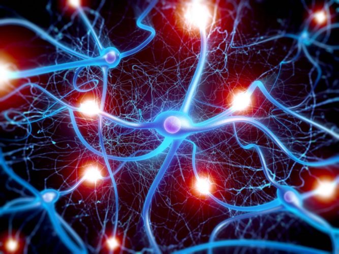 Ученые нашли способ «вычислять» сбои мозга математически