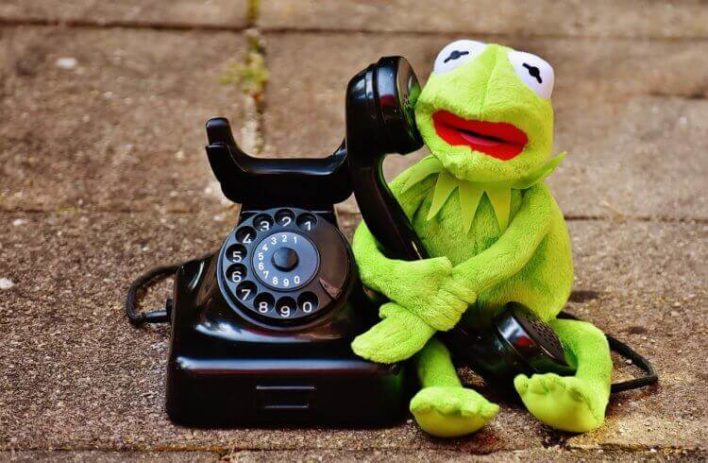 Ученые раздали телефоны лягушкам! Зачем?