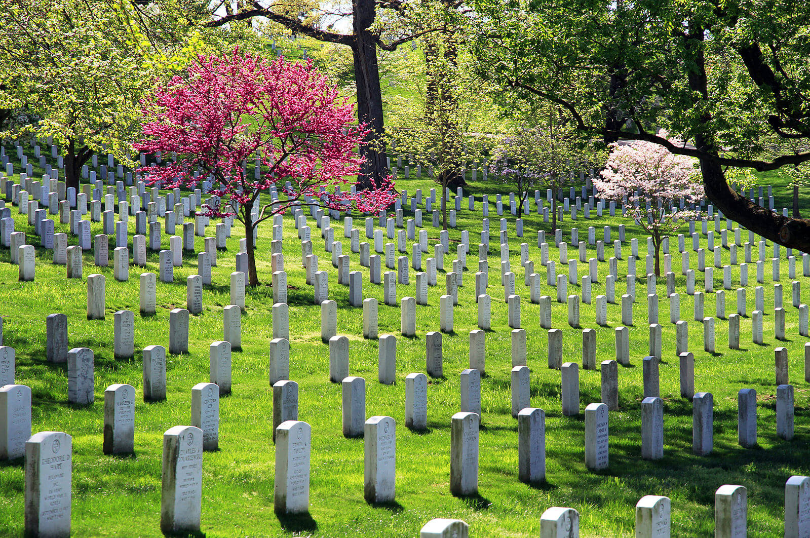 Элитное кладбище в Нью-Йорке Гринфилд