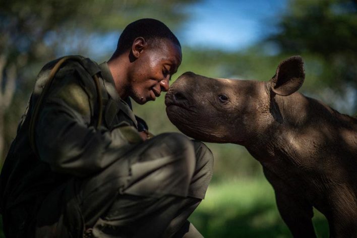 Фотограф "поймал момент" и получил премию Wildlife Photographer