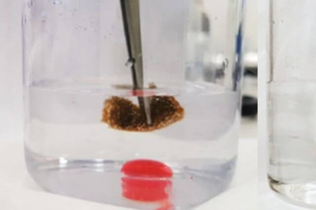 Ученые из Томска создали губку для сбора нефтепродуктов с воды