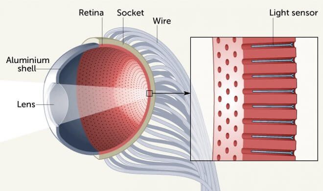Ученые создали искусственный глаз, превосходящий человеческий