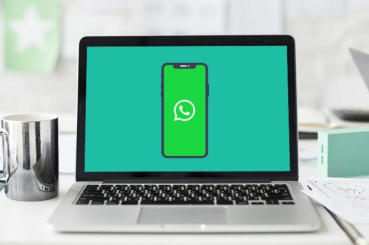 Новая функция WhatsApp позволит осуществлять видеозвонки с ПК