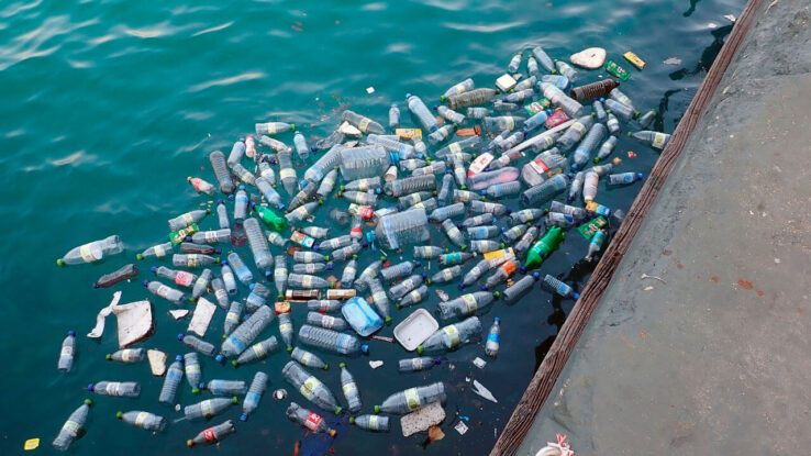 Океан научился самостоятельно очищаться от пластика!
