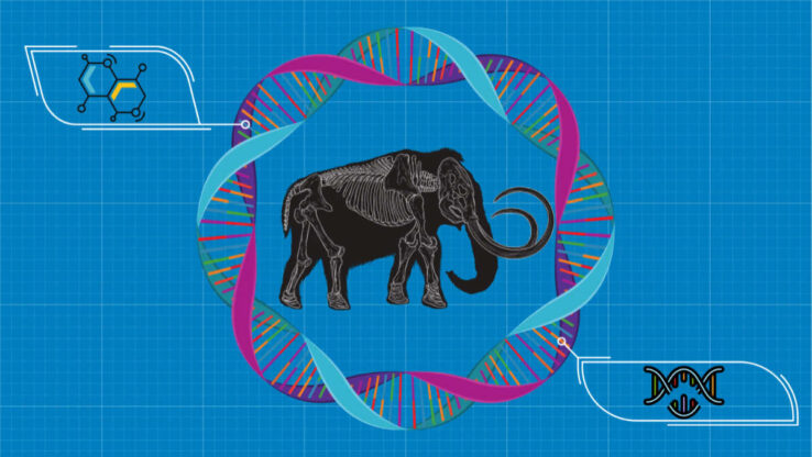Технология CRISPR поможет «воскресить» шерстистых мамонтов!