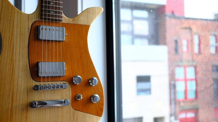 Компания Fern Guitars разработала новую модульную электрогитару Phoenix