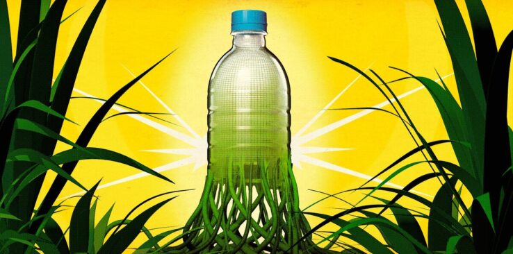 Российские ученые придумали биоразлагаемый пластик нового поколения