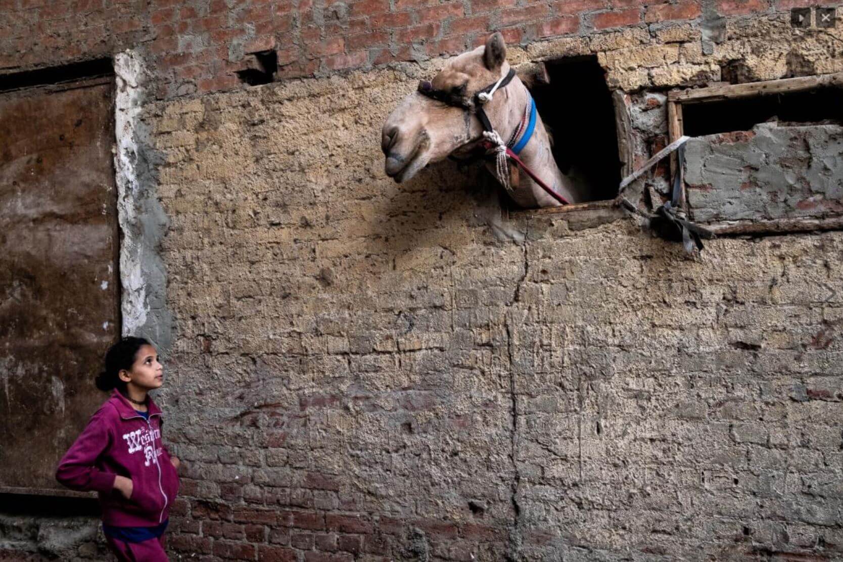 20 необычных. Странные фото мира. Minimalist Photography Awards 2021. Странные фото мира под землёй.