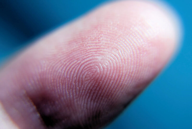 Ученые: Отпечатки пальцев говорят о новых странностях!