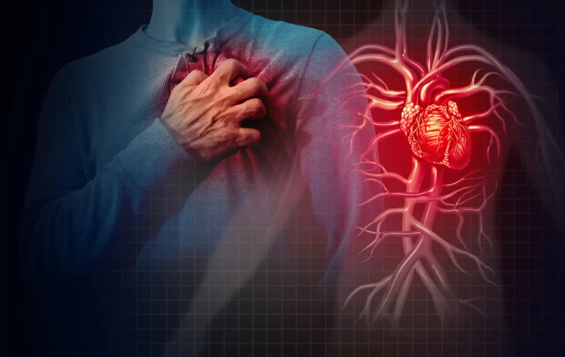 Ученые нашли способ запустить регенерацию поврежденного инфарктом сердца