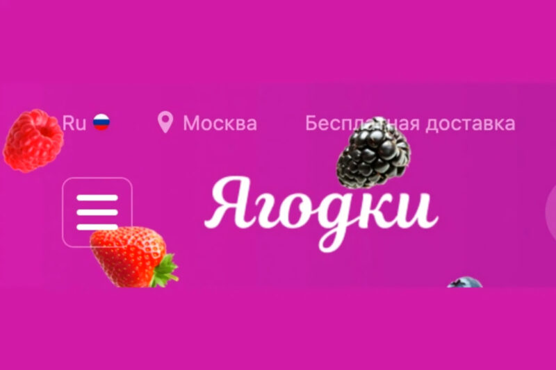 Wildberries планирует изменить наименование бренда на русскоязычное