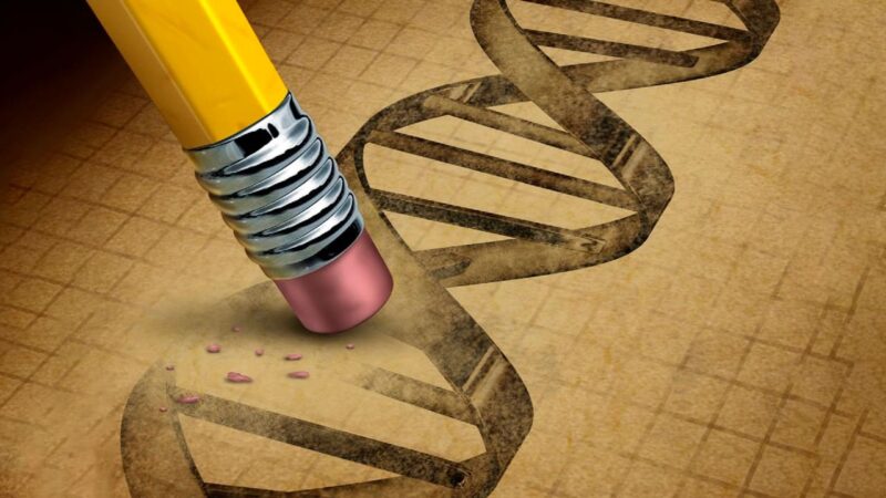 Генетики обсудят возможность создания «идеального человека»