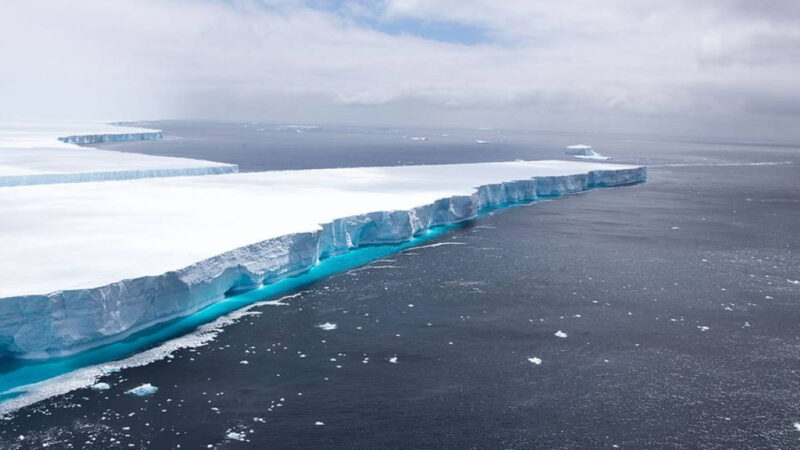 Чем айсберг размером с Лондон угрожает обитателям океана?