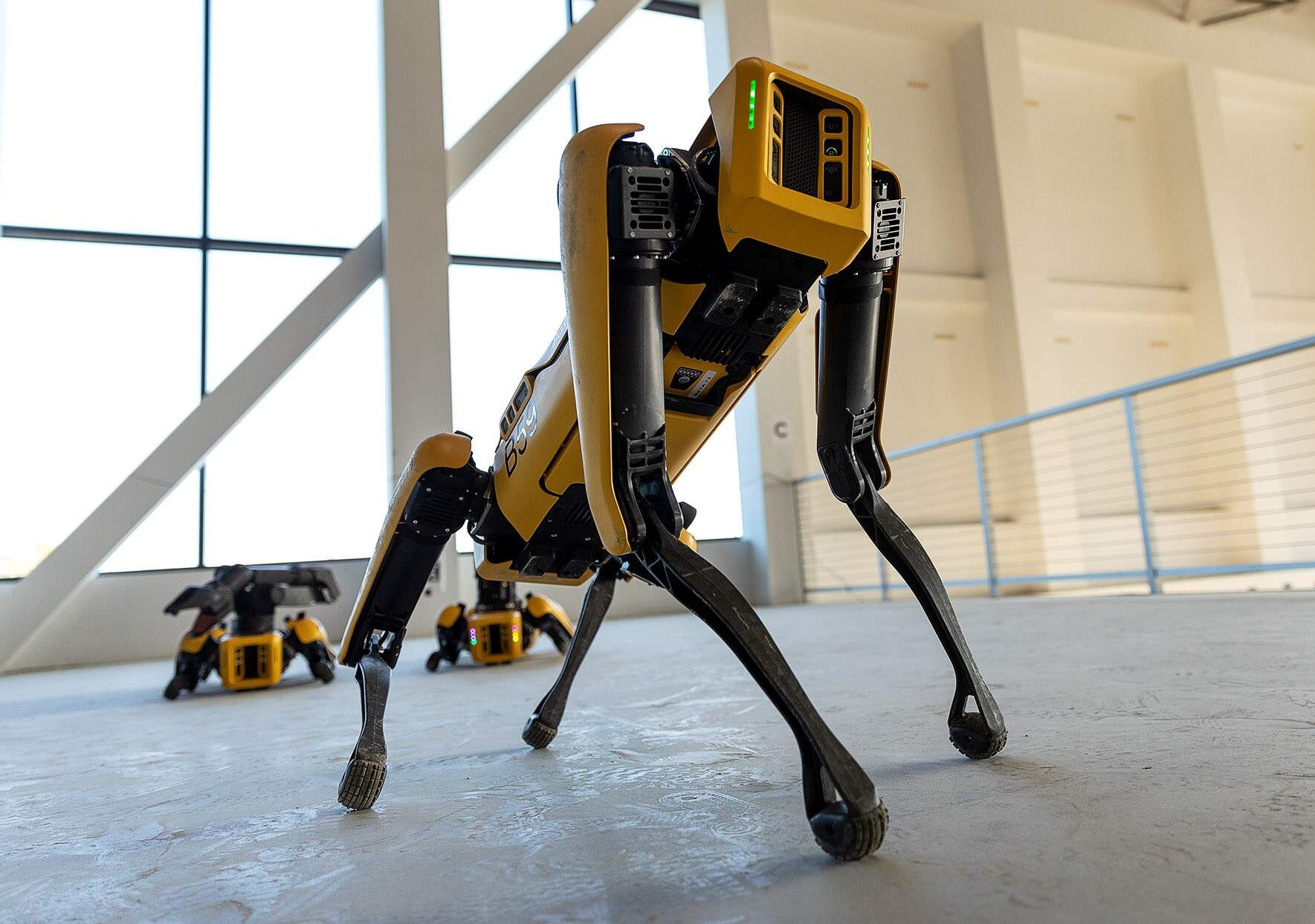 Робособаки Boston Dynamics заговорили!