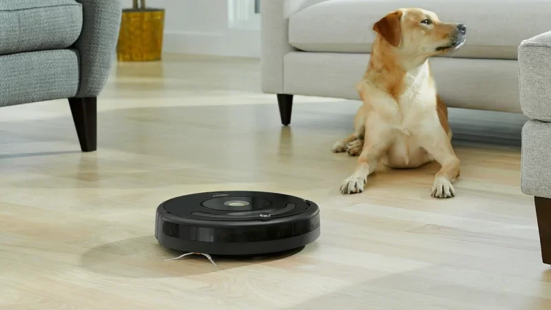 iRobot разрабатывает революционную модель Roomba для дружбы между собаками и пылесосами