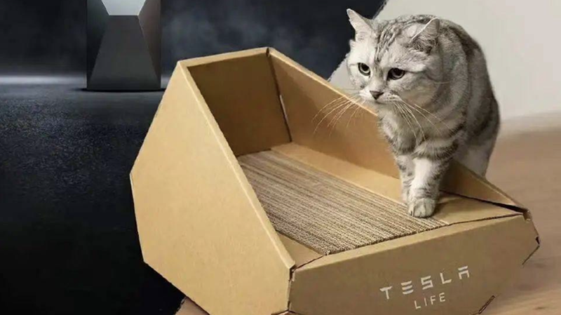 Tesla представила Cybertruck из картона для кошек