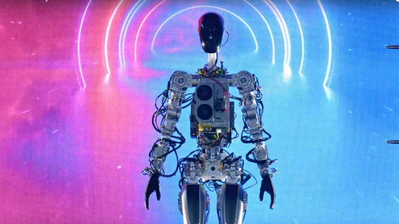 Tesla Bot стал более функциональным и заметно «поумнел»