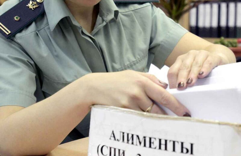 В России появится электронный реестр «алиментщиков»