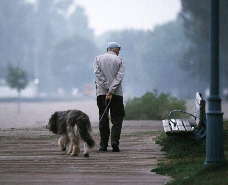 Собаки снижают риск слабоумия и деменции у стариков на 40%