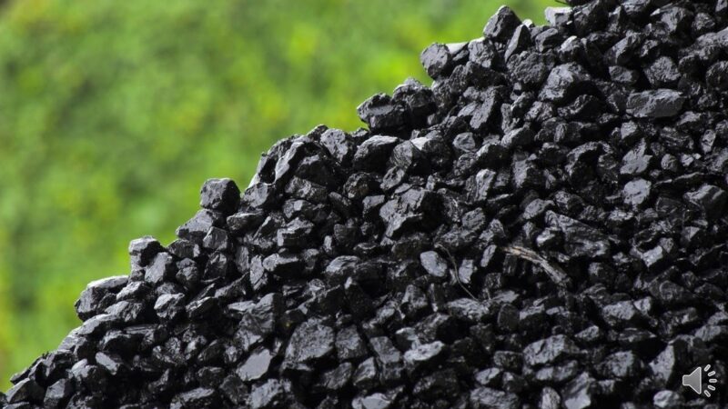 Проблему нехватки продовольствия решит… уголь