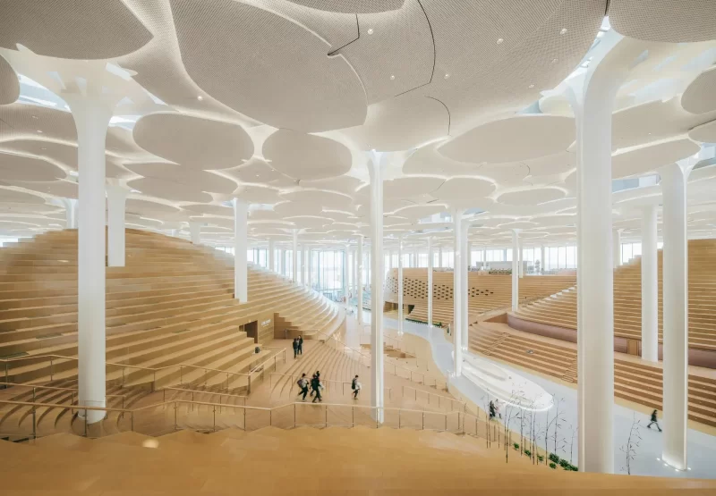 Новая библиотека в Пекине имитирует лес
