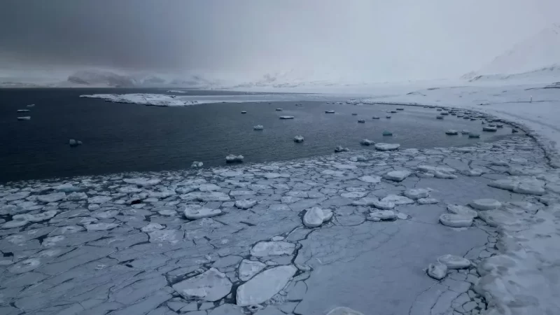 Ученые назвали дату, когда Арктика лишится льда